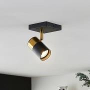 Arcchio Evaro spot, gouden ring achter, 1-lamp