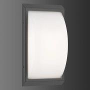 LED buiten wandlamp 053 van roestvrij staal, grafiet