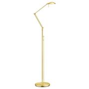 LED vloerlamp Carl, messingkleurig, verstelbaar, dimbaar