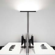 Molto Luce Concept Double F dimbaar zwart