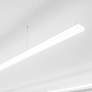 Regent Purelite Office plafondlamp 153,1cm 3.000K