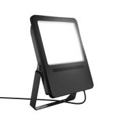 RZB HB 450 buitenspot IP65 22.000lm