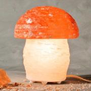 Zoutlamp paddenstoel
