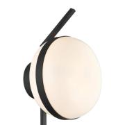 Wandlamp Palma van glas