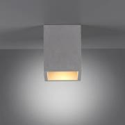 Paul Neuhaus plafondlamp Eton, grijs, beton, 11cm x 11cm, G9