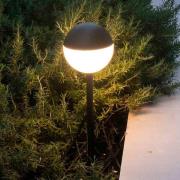 LED tuinvertlichting Piccola aardspies in zwart
