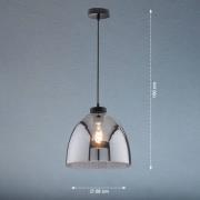 Hanglamp Ren, 1-lamp met rookglas