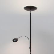 Uplighter vloerlamp Malea met LED + leesarm, zwart