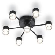 Helestra Kala LED plafondlamp, zwart, 7-lamps
