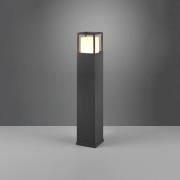LED tuinpadverlichting Witham, 80 cm hoog, antraciet, CCT, IP54