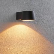 Paulmann Capea LED buitenwandlamp antraciet aluminium