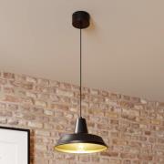 Hanglamp Class, zwart/goud