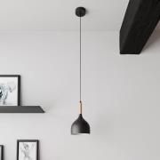Noak hanglamp, 1-lamp, naturel/zwart hout