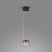 Helestra Oda LED hanglamp zwart/goud