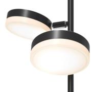 Maytoni Fad LED vloerlamp met dimmer, draaibaar