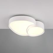 LED plafondlamp Rise, wit, 43 x 36 cm, CCT, dimbaar