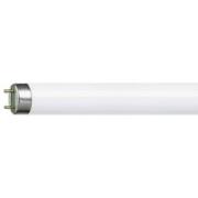 TL-buis G13 T8 18W MASTER TL-D Super 865
