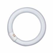 G10q 40W 840 Lumilux T9C TL-ring