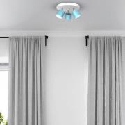 Plafondspot Cloudy 3-lamps rond blauw