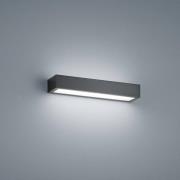 Helestra Theia LED wandlamp, mat zwart 30 cm