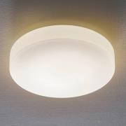 Bega 50652 LED plafondlamp opaal glas 3.000K Ø39cm