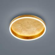 Helestra Sona LED plafondlamp dimbaar Ø40cm goud