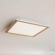 Prios Dinvoris LED paneel, CCT, 40 cm x 40 cm