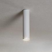 Plafondspot Eye, hoogte 25 cm, wit