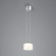 BANKAMP Grand Clear LED hanglamp, 1-lamp, Ø 20 cm