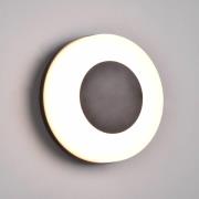 LED buitenwandlamp Morena met CCT-functie