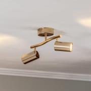 Plafondspots, goud, 2-lamps