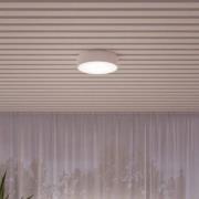Cleo plafondlamp, Ø 50 cm, IP54, wit, metaal, E27