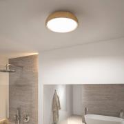 Paulmann Oka LED plafondlamp IP44 CCT houtoptiek