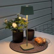 LED tafellamp Capri voor buiten, groen-grijs