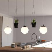 Hanglamp Rondo 3 bloempot 3-lamps zwart