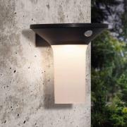 LED buitenwandlamp solar Corbezzola met sensor