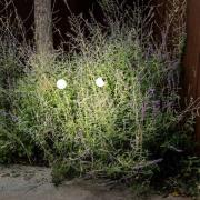 LED sokkellamp Cuca, zwart, roestvrij staal/glas, hoogte 65 cm