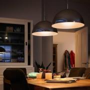 Philips Classic LED lamp E27 P45 6,5W 2700K helder