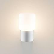 Molto Luce Lanu Flat buitenwandlamp, wit, aluminium/glas