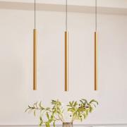 Railsystem 48V Lumaro, pendel, buislamp, 3-lamps, goud, CCT