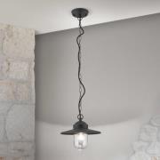 Edward buiten hanglamp, antraciet, Ø 27,5 cm, aluminium