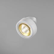 EGG DLS LED spot Clippo Optic, wit/goud, Ø 12 cm, DTW