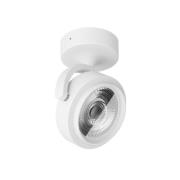 LED plafondspot Eta, 15,4° stralingshoek, wit, 3.000 K, aluminium