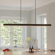 UMAGE LED hanglamp Hazel Branch, zwart/messing, 150 cm