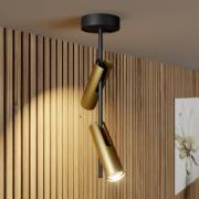 Plafondspot Leda 2, 2-lamps, zwart-goud