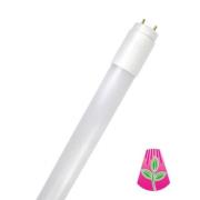LED TL buislamp GoLeaf T8 G13 volspectrum 16W 120cm