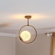 Plafondlamp Dolunay 3901 zwart, glazen kap, ring