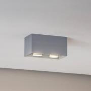 Plafondlamp Ara Maxi van aluminium 2-lamps grijs