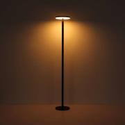 LED vloerlamp 36508, zwart, aluminium, CCT, IP54