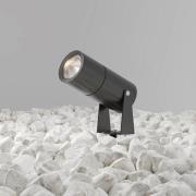 Maytoni LED prikspot Bern, grafiet, Ø5,5cm, 5W, IP65